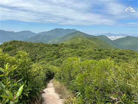 龍背脊|龍脊行山低難度五星靚景︱港島徑第八段(附交通)